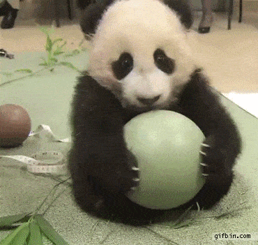 panda-penalty
